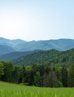 Panorama zielonych gór i lasów Beskidu, skąd pochodzi woda Żywiecki Kryształ, obecnie o zmienionej mineralizacji