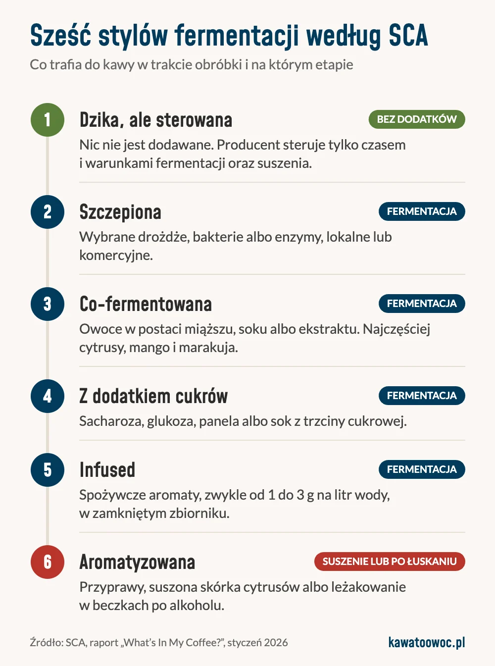Infografika: sześć stylów fermentacji kawy według SCA, od fermentacji bez dodatków, przez kawę szczepioną, co-fermentowaną, z cukrami i infused, po kawę aromatyzowaną po fermentacji